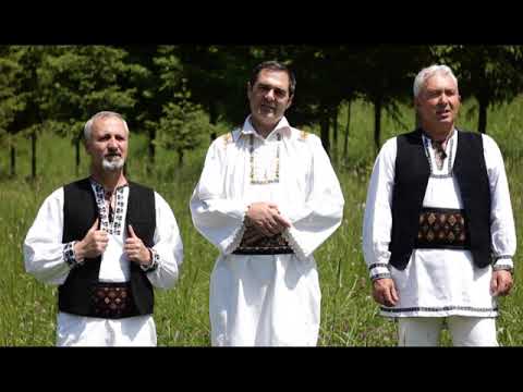 MARCEL AVRAM si STRAJERII SIGHISOAREI   Plin ii codru de voinici VP EXT