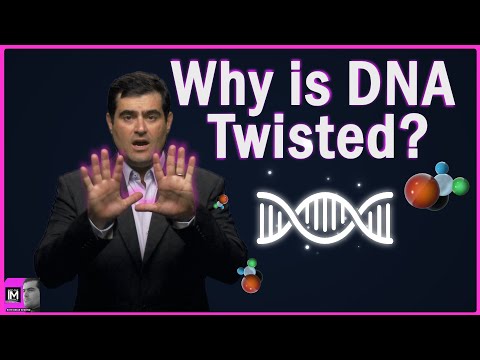 Your DNA is TWISTED!!