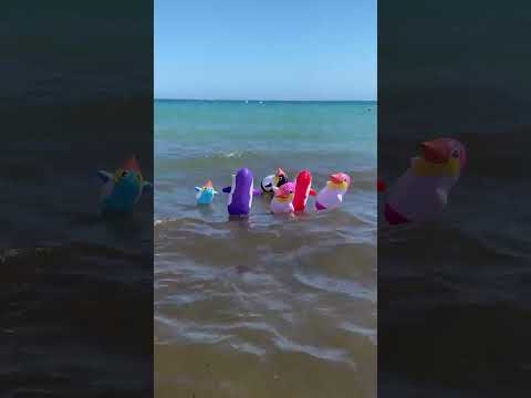 juguetes  pingüinos  para la playa