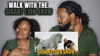 WALK WITH THE GIANT LION SNOW | American Couple Reacts to Dean Schneider & The Lion Pride
