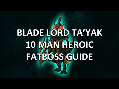 Blade Lord Ta'yak 10 Man Heroic Heart of Fear Guide - FATBOSS