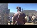 Misuzulu Shaka Zulu ESibayeni Kwakhangela Sengathi Ibutho Luka Shaka Zulu Misuzulu Kingmisuzulu