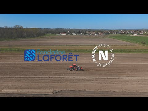 Laforêt immobilier Miniature vidéo YouTube 21