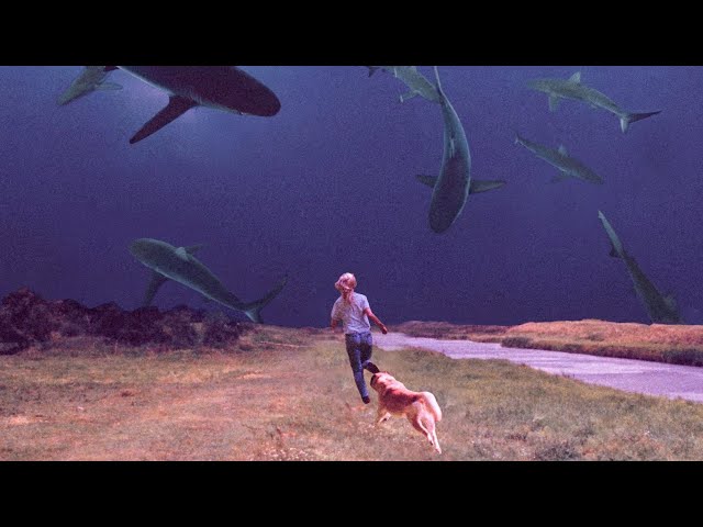 Bully: A Comprehensive Critique