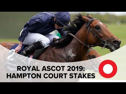 Royal Ascot 2019: Hampton Court Stakes preview with Dave Orton