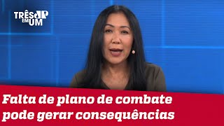 Thaís Oyama: Humilhar um general do Exército é humilhar o Exército