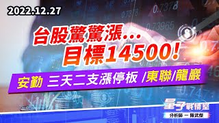 【量子戰情室】#陳武傑 1227 台股驚驚漲…目標14500!! 安勤 三天二支漲停板 /東聯/龍巖 (圖)