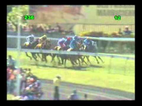 SMSPariaz Turf Infos M24