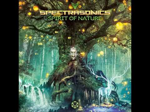 Spectra Sonics vs Hypnoise - Face to Face