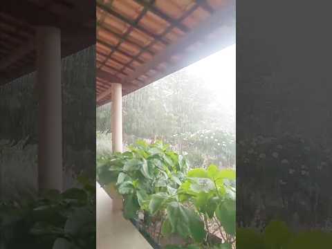 🇧🇷 CHUVA NO CEARÁ, NO MUNICÍPIO DE PORTEIRAS 05/02/2026 #chuvas #sitio #alerta #chuva #vidanaroça