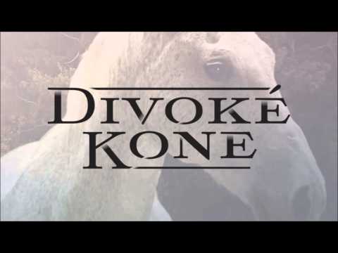 Divoké Kone - Spomienky (Wild Horses - Memories)