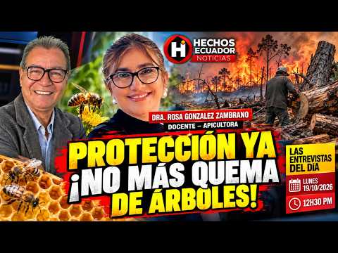 Noticia