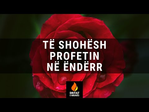 TË SHOHËSH PROFETIN NË ËNDËRR (Rrëfenjë e Shkurtër)