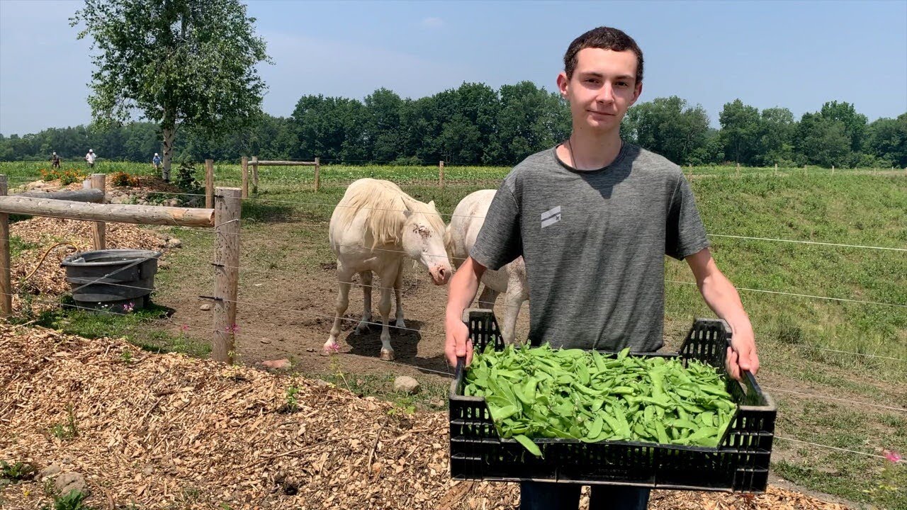 New organic produce delivery company supporting local farmers and bringing awareness to fresh food