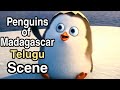 Penguins Of Madagascar Telugu Scene