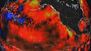 What the warm water blob brought