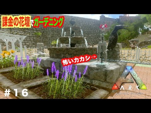 園芸 花が咲くリンゴの木「レッドオベリスク」、クラブアップルの木「レッドオベリスク」