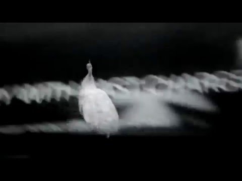 Nao Katafuchi - Awakening (featuring Tomo Akikawabaya)