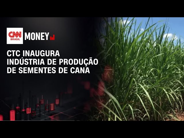 CTC inaugura indústria de produção de sementes de cana | CNN AGRO NEWS