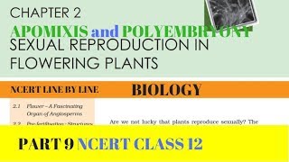 Part-9 SEXUAL REPRODUCTION IN FLOWERING PLANTS chapter-2 NCERT class 12th biology