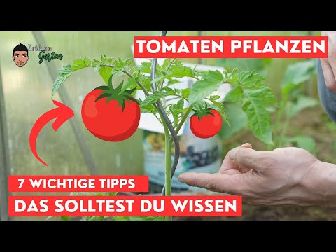 , title : 'Tomaten einpflanzen - Das solltest du wissen!'