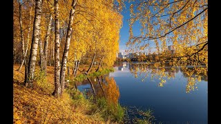 Рыбалка в балашихинском районе форум
