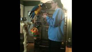 Darwin doing tricks!!!