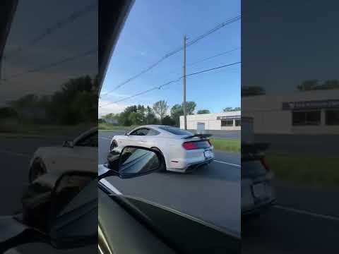 Tesla Plaid Embarrasses Mustang 5.0 Owner With His GF!