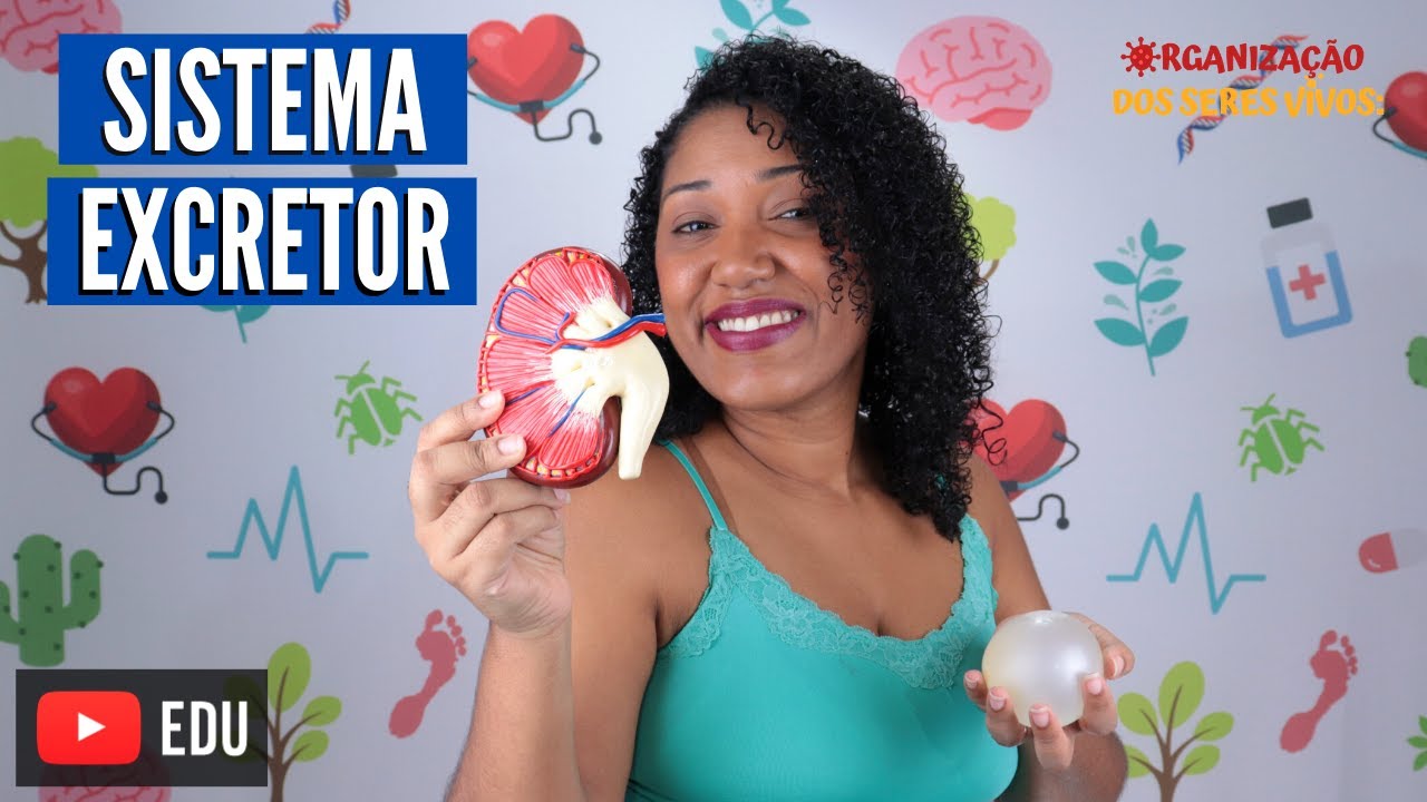 Aula Sistema Excretor Ep. 10