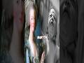 Why Marie Antoinette Gave BIRTH In Public History