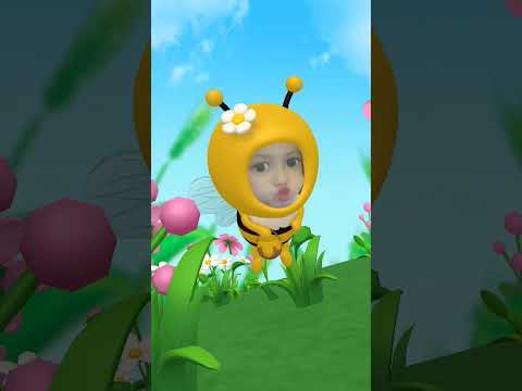 Jual madu jual madu || Lebah kecil yang manis