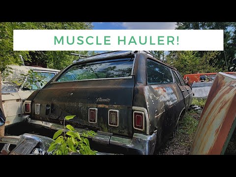 Thumbnail for Junkyard Jewel: 1969 Chevrolet Kingswood Station Wagon packs a big block V8! Project car walk around by Chevrolet Kingswood