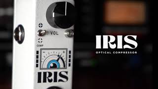 Video thumbnail for Iris Optical Compressor by CopperSound Pedals