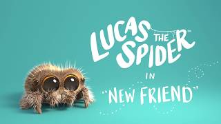 Lucas The Spider - New Friend