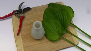 Bring some Guacamole hostas inside with a simple arrangement!