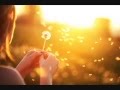 Kacey Musgraves - Dandelion (Lyric Video)
