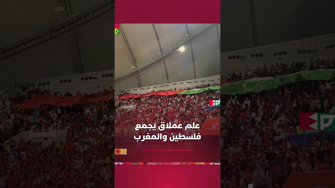 ⁨ علم عملاق يجمع فلسطين والمغرب بملعب خليفة thumbnail