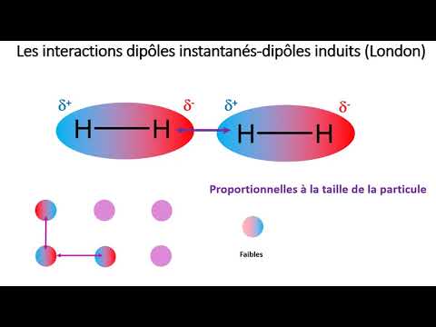 7 1  Les forces intermoléculaires