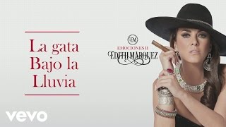 La Gata Bajo la Lluvia (with Edith Márquez) Music Video