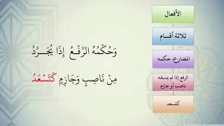 صورة شرح نظم الآجرومية مع التشجير //41//الشيخ محمد محمود الشنقيطي