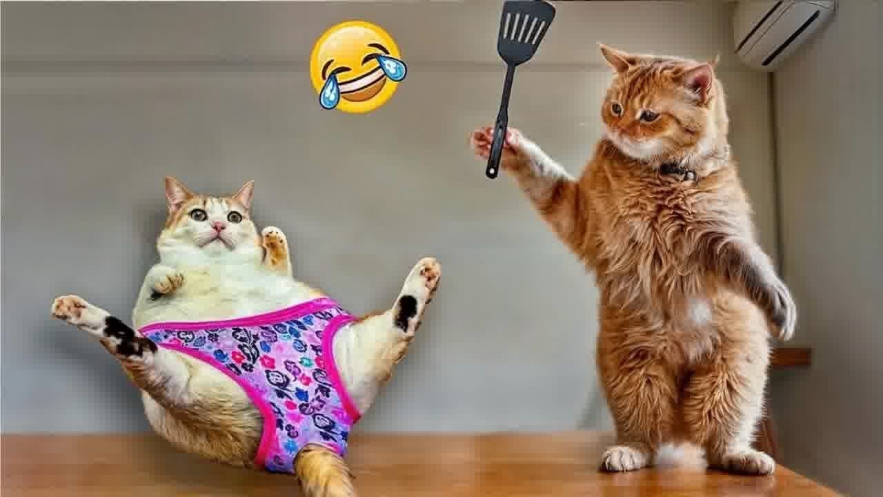 😹 Cute and funny animals video compilation 🤣😘 Funniest Animals 2024 😻