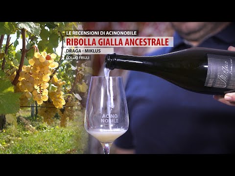 Metodo Ancestrale | Ribolla Gialla | Miklus Franceso