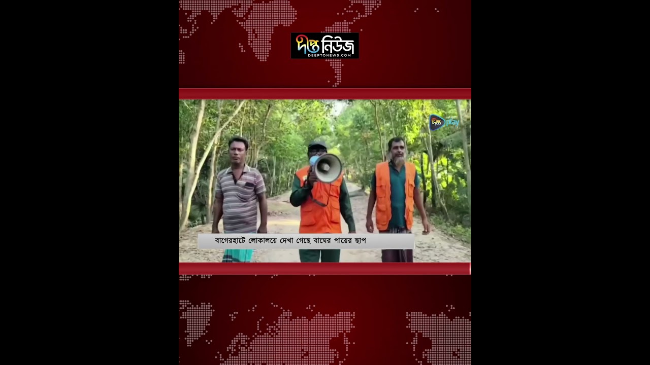 সুন্দরবনের লোকালয়ে দেখা গেছে বাঘের পায়ের ছাপ l Deepto News