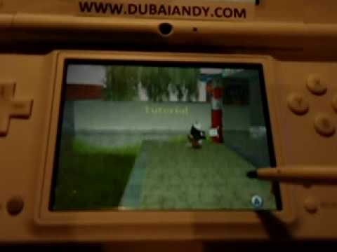 Igor : Le Jeu Nintendo DS