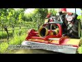 Click to View : SMWA s - vineyard flail mower cutting grass and prunings at high speed