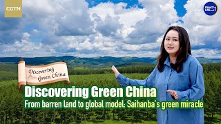 从贫瘠之地到世界典范：塞罕坝的绿色奇迹