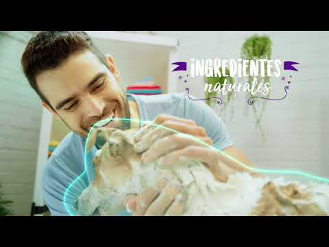 Protege sus aventuras de las pulgas | Petys®