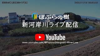 【特別養護老人ホーム ぽぷらの樹】新河岸川・寺尾遊水地ライブカメラ live webcam