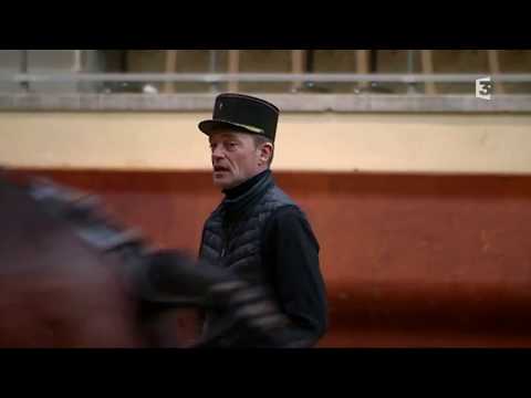 Le cadre noir de Saumur : l'excellence du cheval