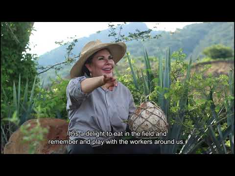 Tequila Cava de Oro Leticia Hermosillo Ravelero